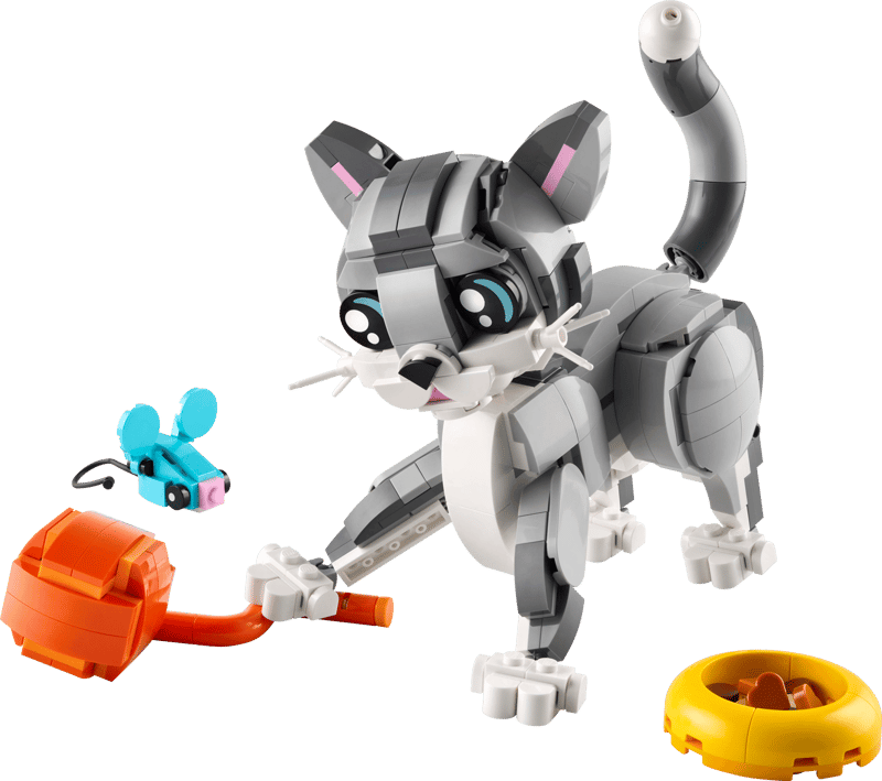 Playful Cat