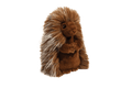 PRICKLE PORCUPINE