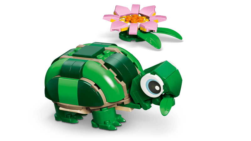 31377 Turtle with a Water Lily Flower