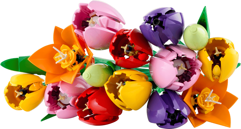 11501 Tulip Bouquet