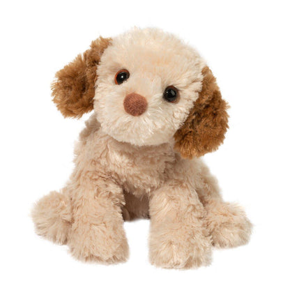 BISCUIT CAVAPOO