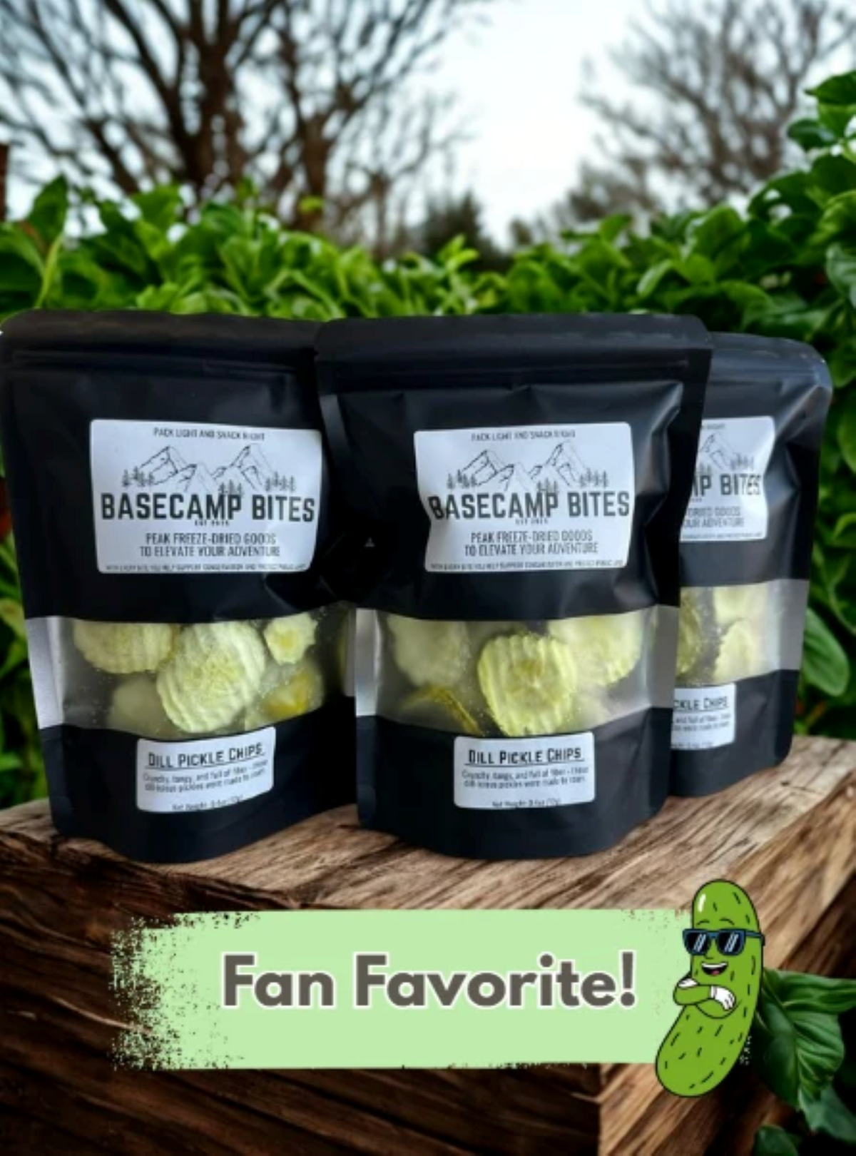 Dill Pickle Chips