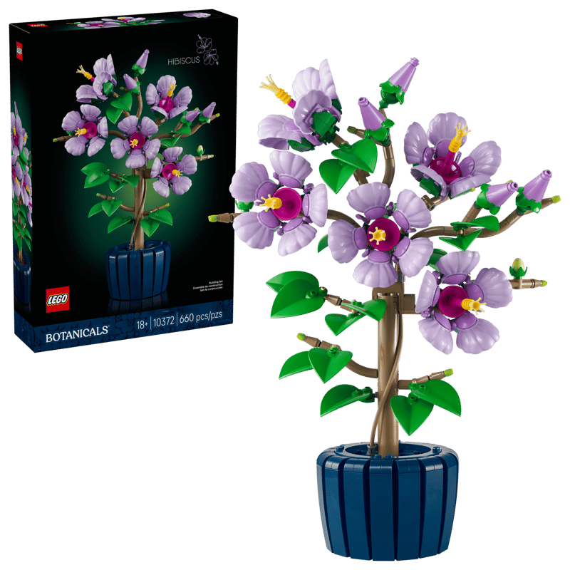 10372 Hibiscus