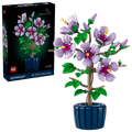 10372 Hibiscus
