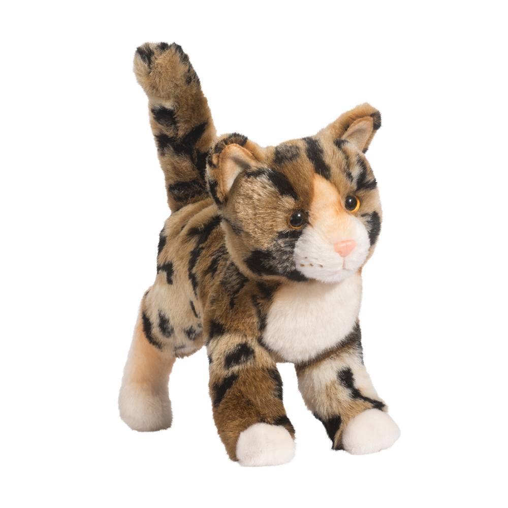 TASHETTE BENGAL CAT