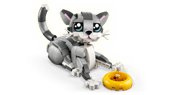 Playful Cat