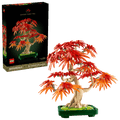 10348 Japanese Red Maple Bonsai Tree