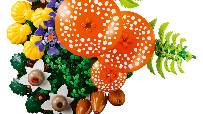 11505 Woodland Mushrooms