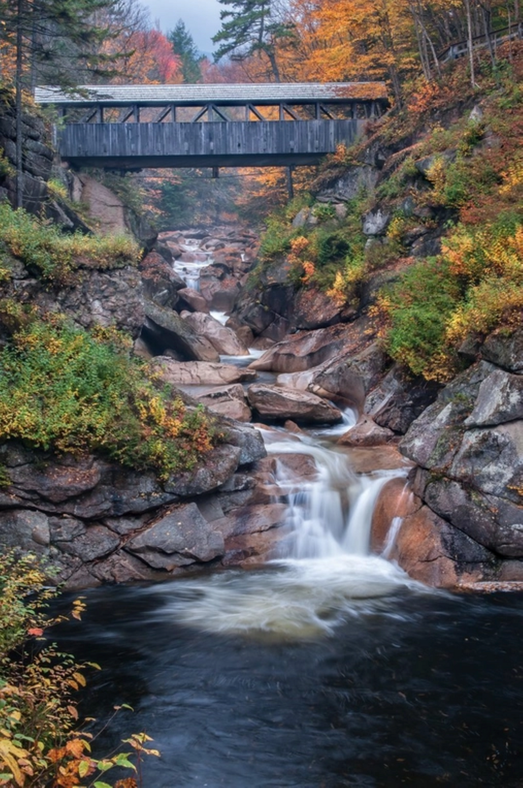 Covered Bridge (985pz) - 1000 Piece Jigsaw Puzzle