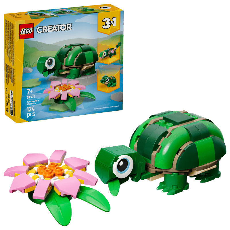 31377 Turtle with a Water Lily Flower