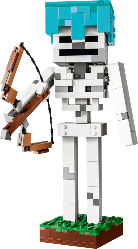 21594 The Skeleton