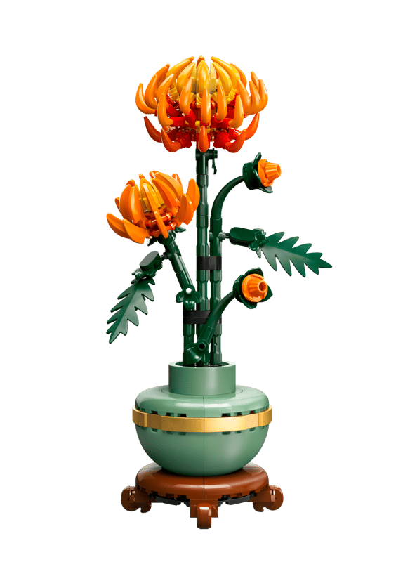 10368 Chrysanthemum Flower