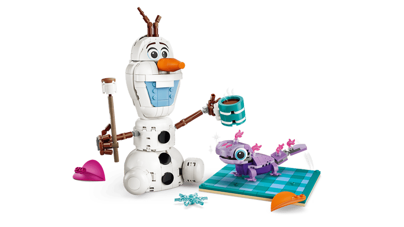 43287 Olaf and Bruni's Picnic Fun