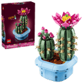 11509 Flowering Cactus