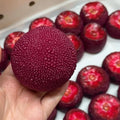 Whole Bayberry Taba Squishy Toy Lifelike Fruit Display Squishy Just Squeeze Studio Thick Cream Texture