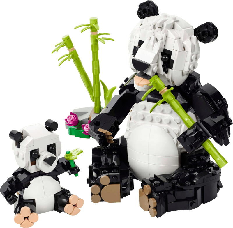 Wild Animals: Panda Family