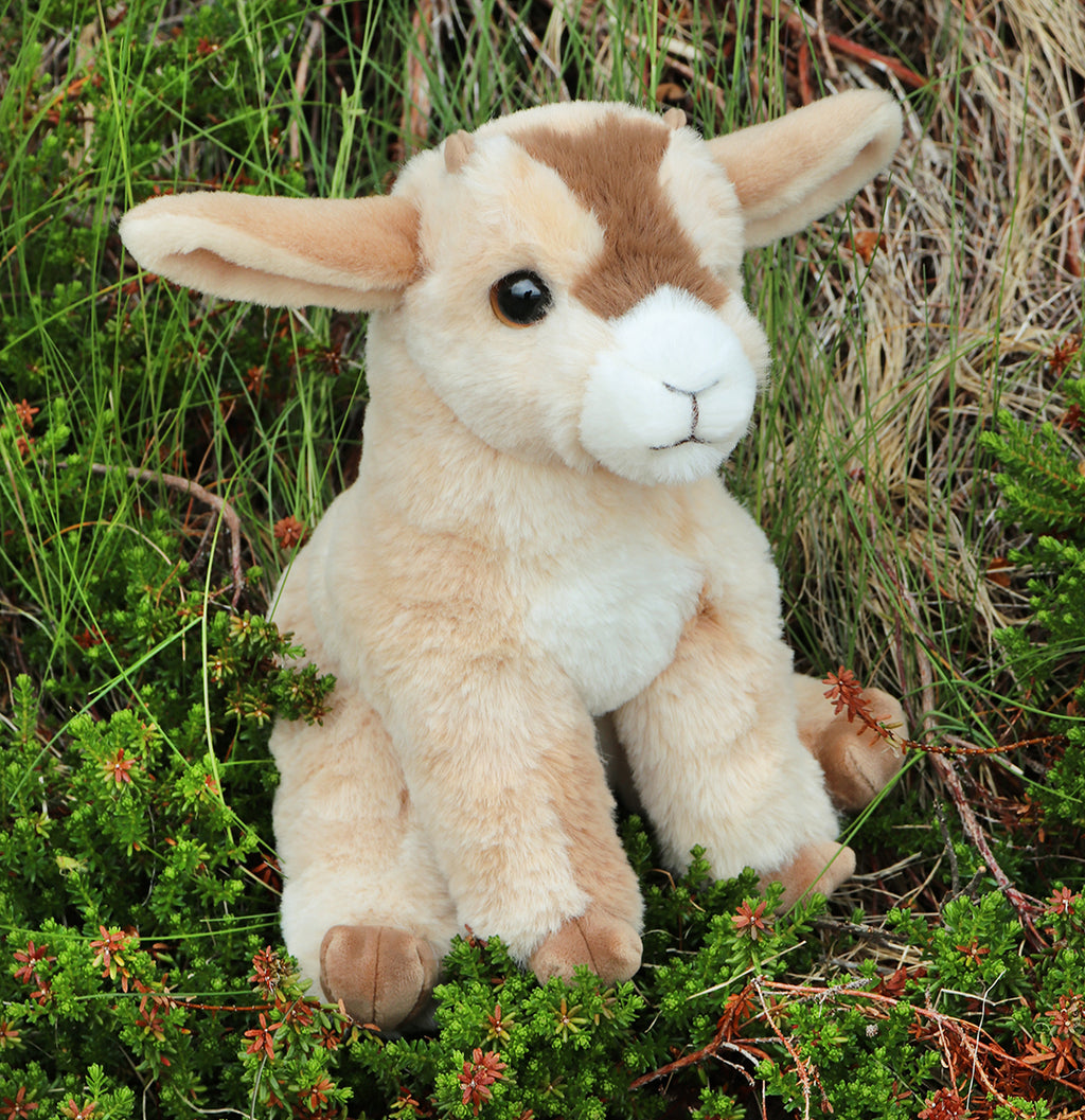 Dandie Goat Mini Soft