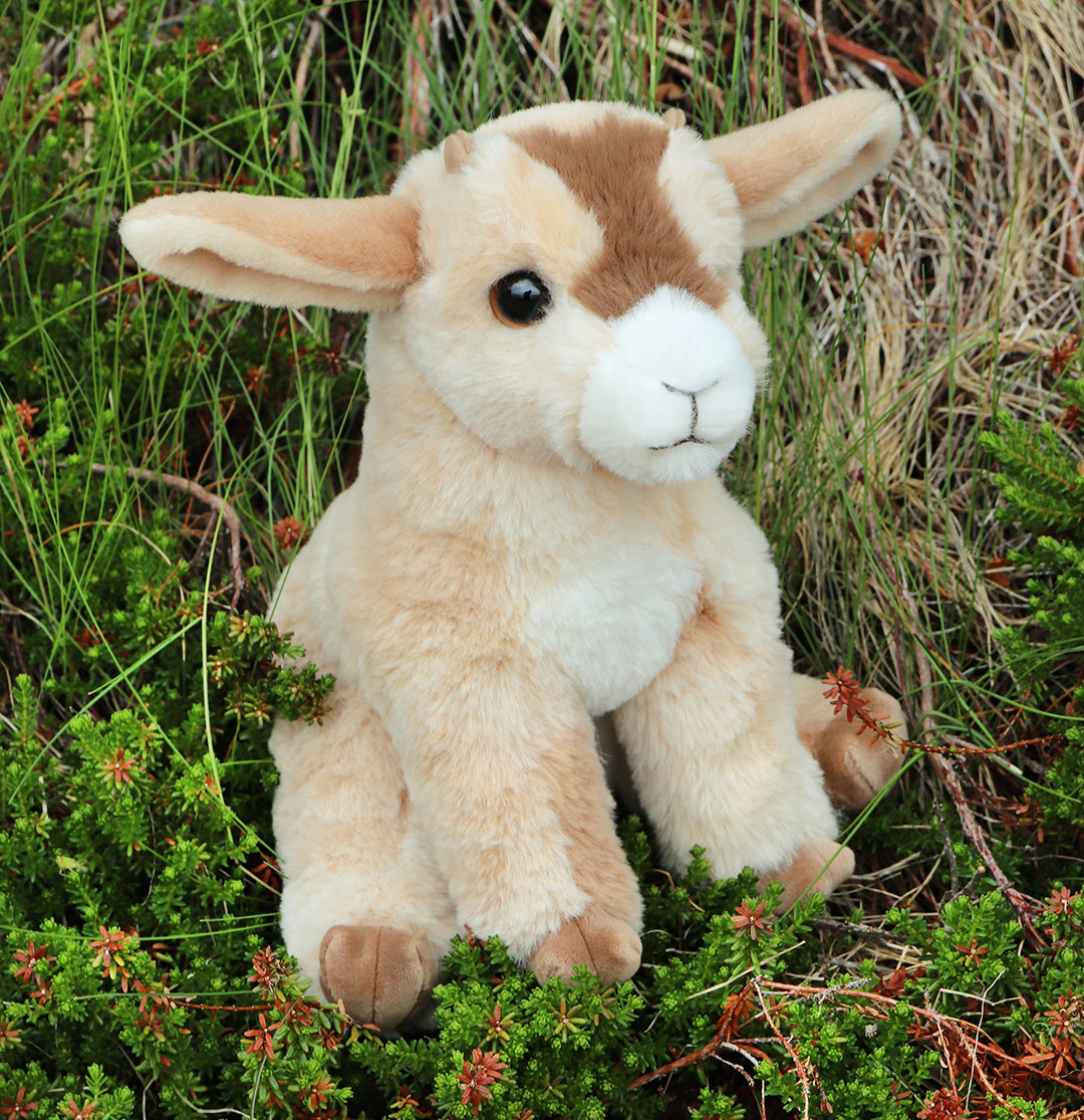 Dandie Goat Mini Soft